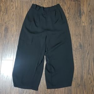 Dress pants
